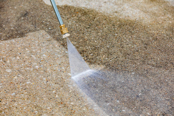 Best Roof Washing  in Wildwood, NJ